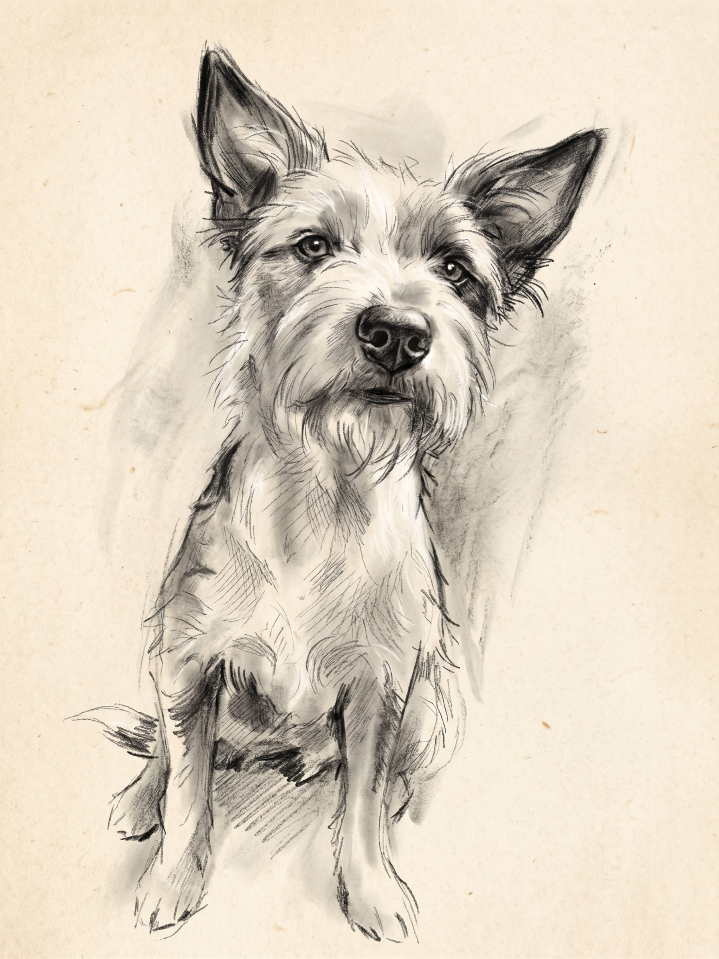Pencil portrait example