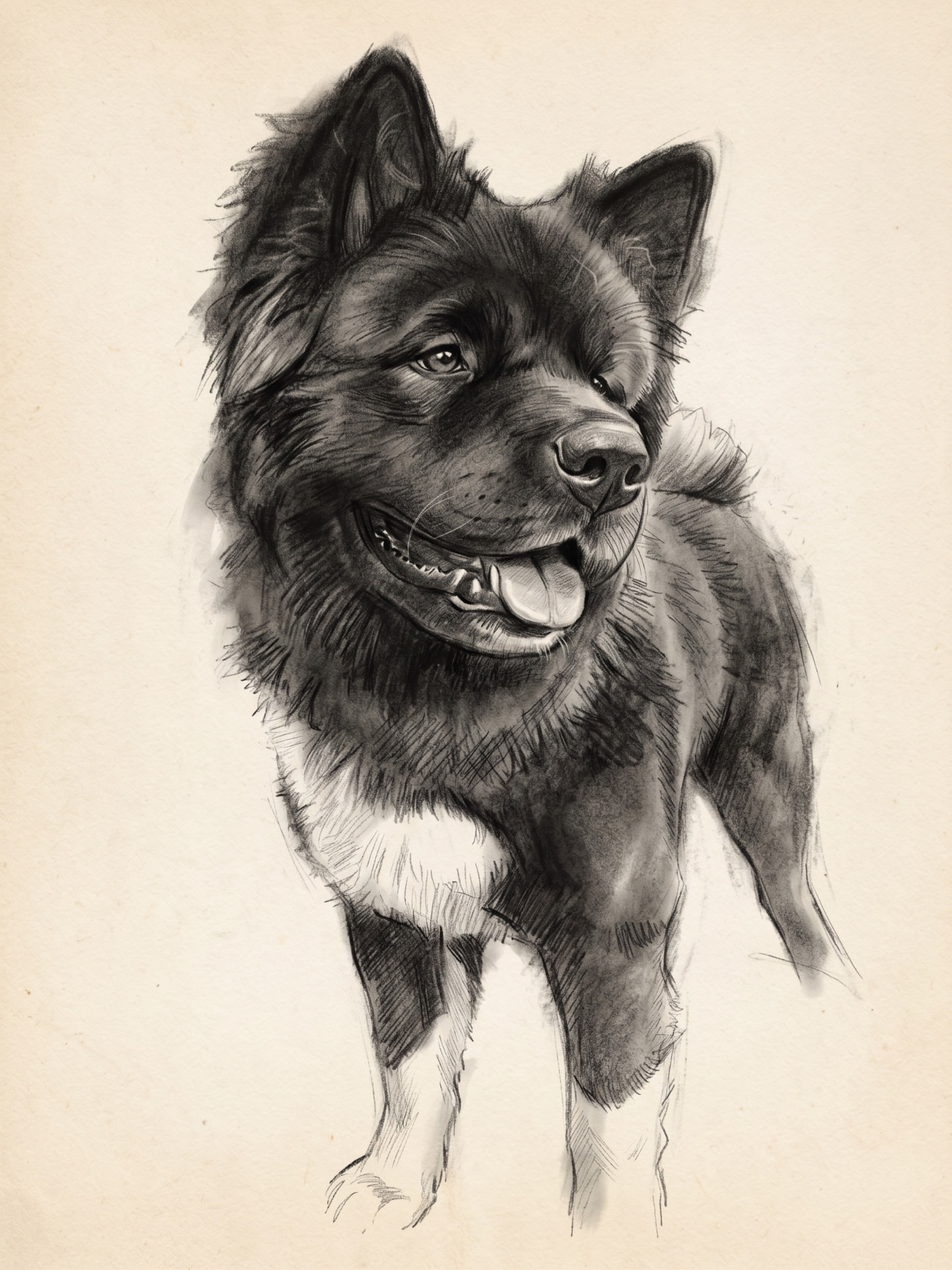 pencil portrait made from the same photo